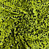 Stephanie APPLE GREEN Overlap Sequins on BLACK Stretch Velvet Fabric