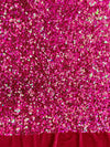 Stephanie IRIDESCENT FUCHSIA Overlap Sequins on FUCHSIA Stretch Velvet Fabric