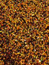 Stephanie IRIDESCENT ORANGE Overlap Sequins on BLACK Stretch Velvet Fabric
