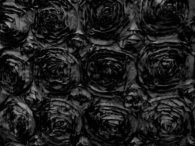 Paige BLACK 3D Floral Polyester Satin Rosette Fabric by the Yard - 10028