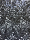 Joanna BLACK Maze Sequins Embroidered Dots on Mesh Lace Fabric by the Yard - 10074