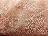 Joanna PEACH Maze Sequins Embroidered Dots on Mesh Lace Fabric by the Yard - 10074