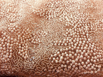 Joanna PEACH Maze Sequins Embroidered Dots on Mesh Lace Fabric by the Yard - 10074