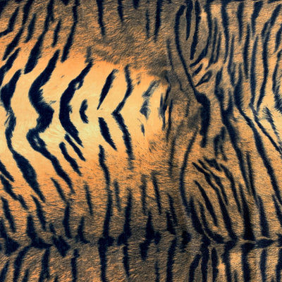 Dana BLACK CAMEL Tiger Pattern Polyester Stretch Velvet Fabric by the Yard for Tops, Clothes, Dance Wear, Costumes, Crafts - 10160