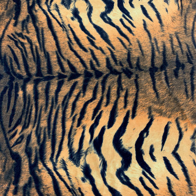 Dana BLACK CAMEL Tiger Pattern Polyester Stretch Velvet Fabric by the Yard for Tops, Clothes, Dance Wear, Costumes, Crafts - 10160