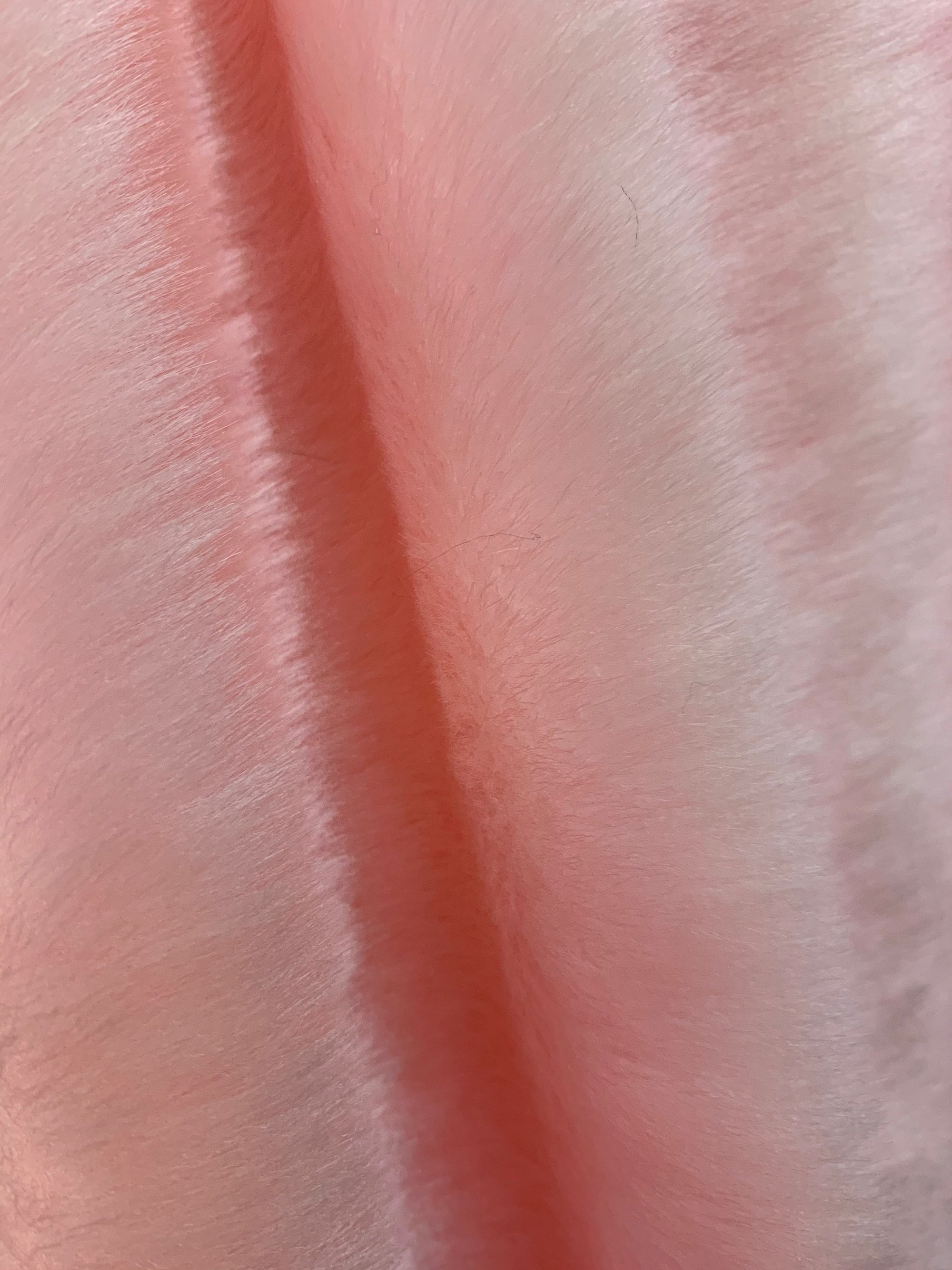 Zahra LIGHT PINK 0.75 Inch Short Pile Soft Faux Fur Fabric for Fursuit, Cosplay Costume, Photo Prop, Trim, Throw Pillow, Crafts - 10177
