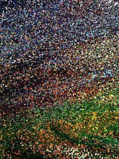 Jazmin OMBRE Two Tone Sequins on Black Stretch Mesh Lace Fabric by the Yard - 10183