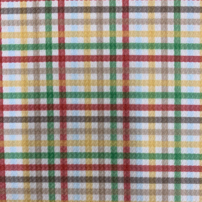 Dorothy PLAID Printed Bullet Stretch Fabric for Ribbons, Head Wraps, Top Knots, Scrunchies, Clothes, Costumes, Crafts - 10179