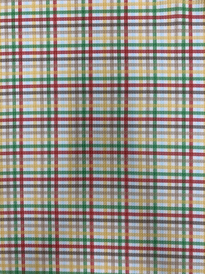 Dorothy PLAID Printed Bullet Stretch Fabric for Ribbons, Head Wraps, Top Knots, Scrunchies, Clothes, Costumes, Crafts - 10179