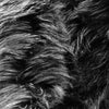 Eden BLACK Shaggy Long Pile Soft Faux Fur Fabric for Fursuit, Cosplay Costume, Photo Prop, Trim, Throw Pillow, Crafts