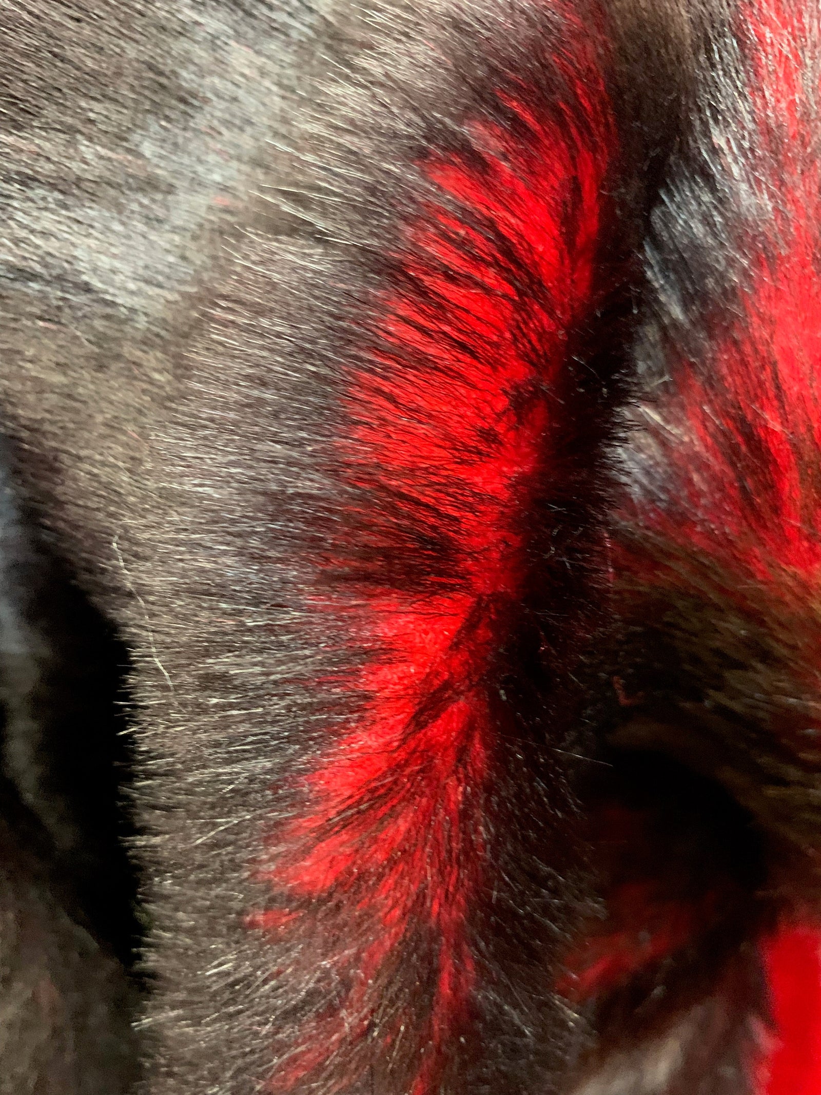 Zahra RED BLACK 0.75 Inch Short Pile Soft Faux Fur Fabric for Fursuit, Cosplay Costume, Photo Prop, Trim, Throw Pillow, Crafts - 10177