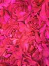 Maci FUCHSIA 3D Floral Polyester Satin Rosette on Mesh Fabric by the Yard - 10057
