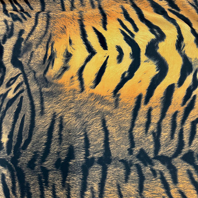 Georgia BLACK ORANGE Tiger Printed Polyester Spandex 4-way Stretch Medium Weight Fabric for Apparel, Swimwear, Activewear, Costumes, Crafts