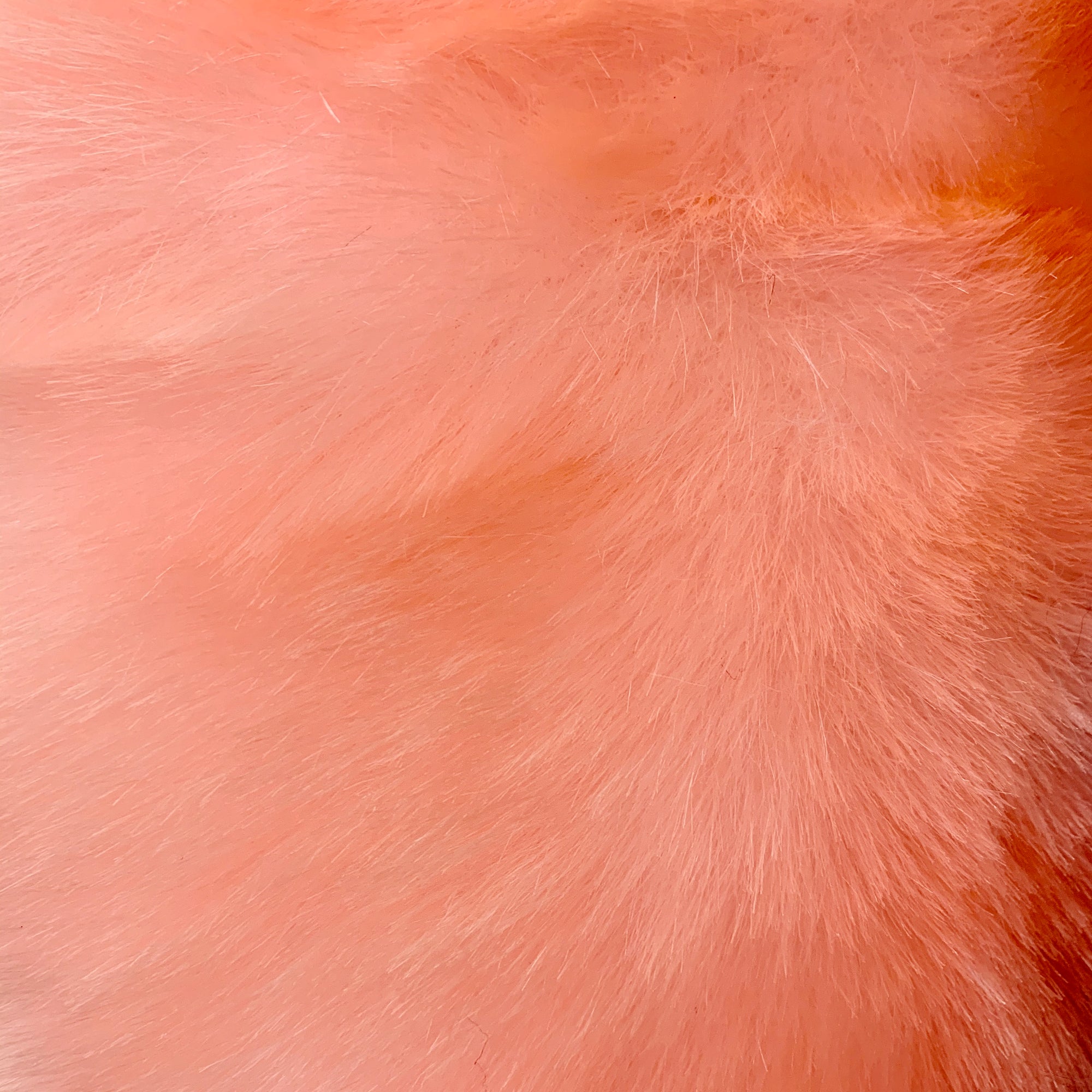 Zahra LIGHT CORAL 0.75 Inch Short Pile Soft Faux Fur Fabric for Fursuit, Cosplay Costume, Photo Prop, Trim, Throw Pillow, Crafts