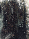 Leila BLACK Sequins on Mesh Fabric by the Yard - 10050