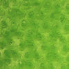 Ruth LIME GREEN Cuddle Minky Rosette Soft Faux Fur Fabric by the Yard - 10083